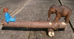 Mammut 2.jpg