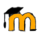 ICON LS Moodle.png